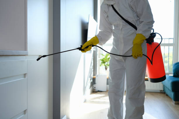 Trusted Newaygo, MI Mold Removal Experts